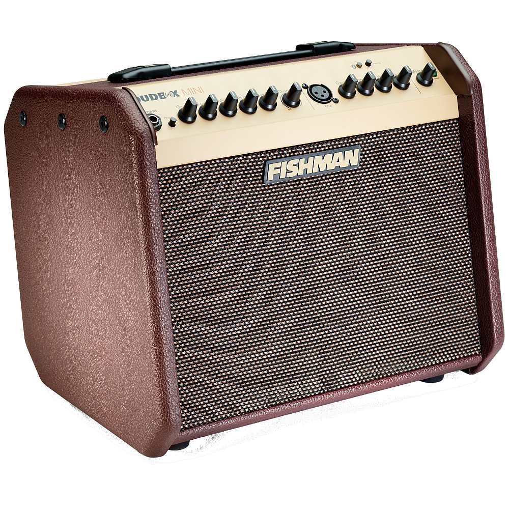 Fishman Loudbox Mini Bluetooth wzmacniacz do gitary akustycznej 60W