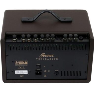 Ibanez T30 Troubadour panel